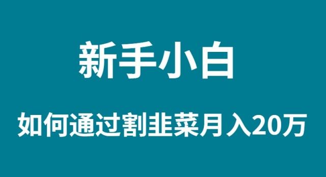 (9308期)新手小白如何通过割韭菜月入 20W-E网资源