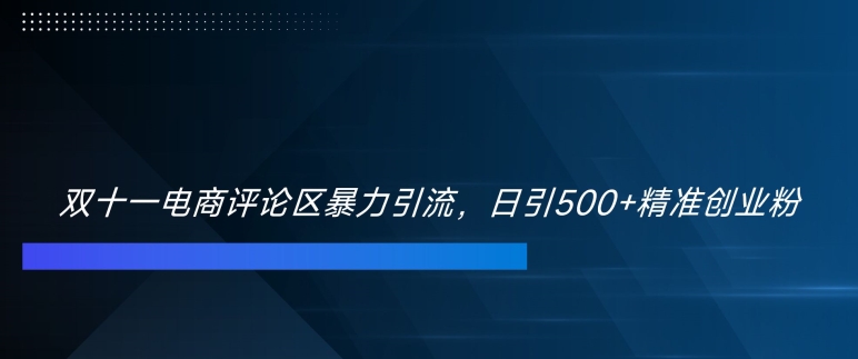 双十一电商评论区暴力引流，日引500+精准创业粉【揭秘】-E网资源