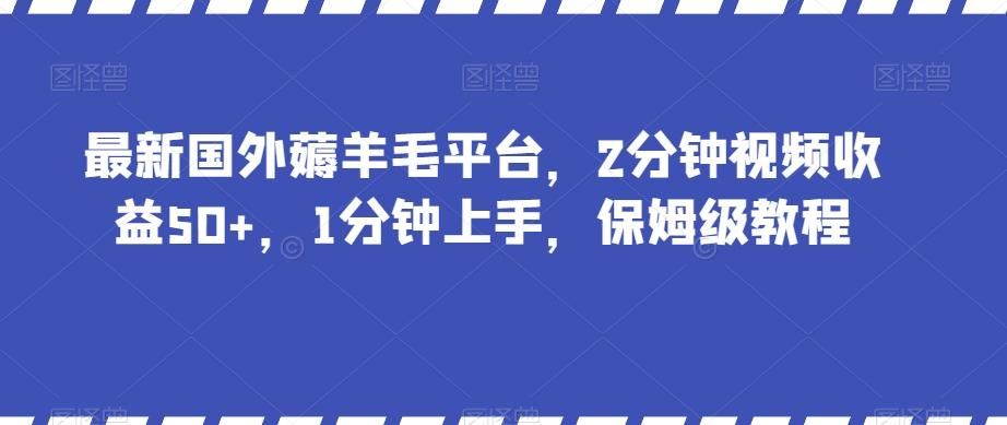 最新国外薅羊毛平台，2分钟视频收益50+，1分钟上手，保姆级教程【揭秘】-E网资源