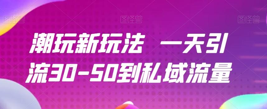 潮玩新玩法一天引流30-50到私域流量-E网资源