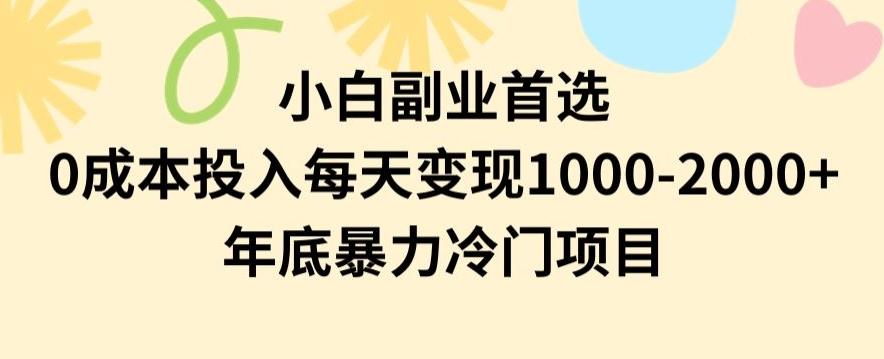 小白副业首选，0成本投入，每天变现1000-2000年底暴力冷门项目【揭秘】-E网资源