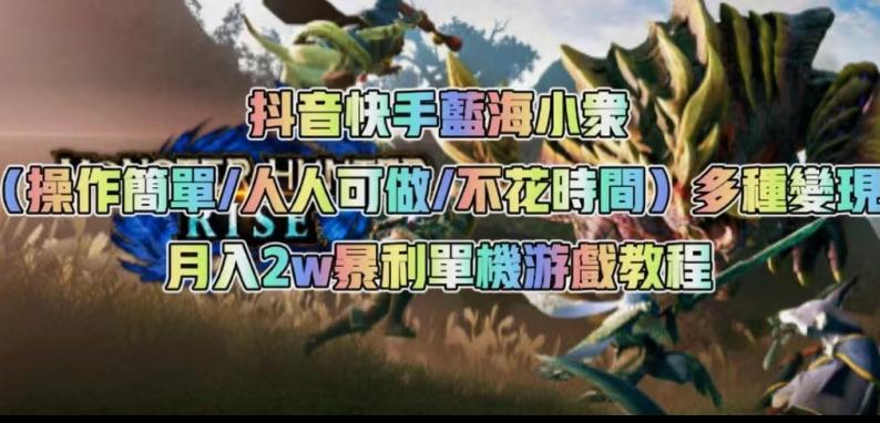 抖音快手蓝海小众（操作简单人人可做不花时间）多种变现月入2w＋暴利单机游戏教程-E网资源