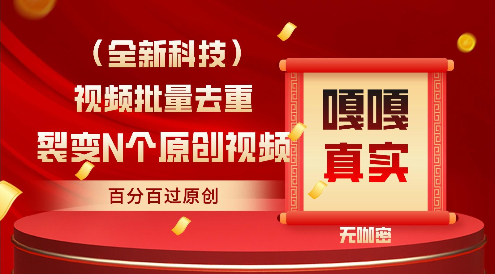 最新全自动去重技术，批量操作百分百过原创-E网资源