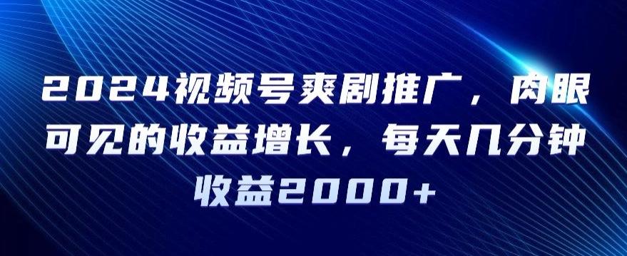 2024视频号爽剧推广，肉眼可见的收益增长，每天几分钟收益2000+【揭秘】-E网资源