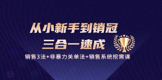 从小新手到销冠 三合一速成：销售3法+非暴力关单法+销售系统挖需课 (27节-E网资源