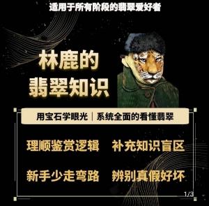 林鹿的翡翠知识，​用宝石眼光，系统全面的看懂翡翠-E网资源