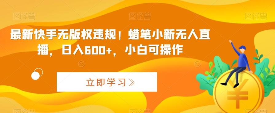 最新快手无版权违规！蜡笔小新无人直播，日入600+，小白可操作【揭秘】-E网资源