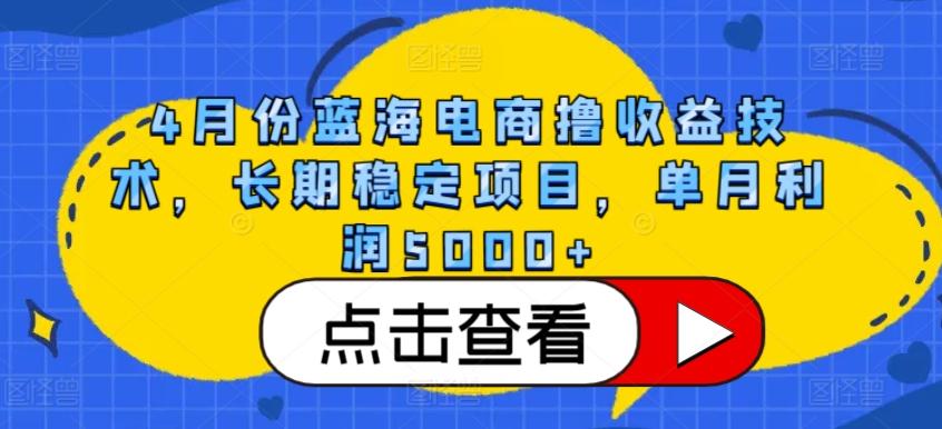 4月份蓝海电商撸收益技术，长期稳定项目，单月利润5000+【揭秘】-E网资源