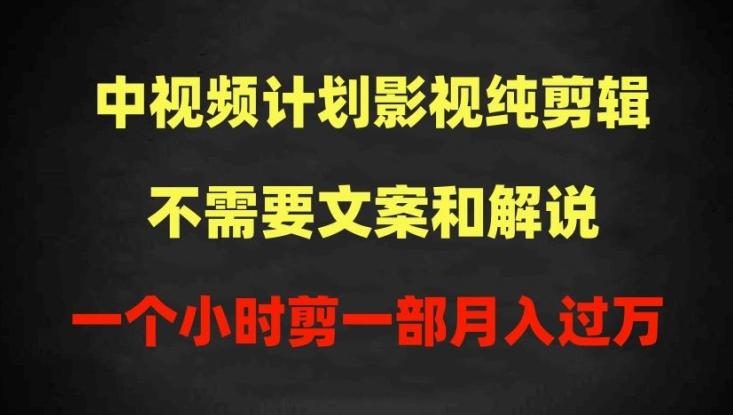 中视频计划影视纯剪辑，不需要文案和解说，一个小时剪一部，100%过原创月入过万【揭秘】-E网资源