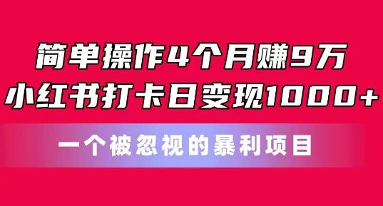 简单操作4个月赚9w，小红书打卡日变现1k，一个被忽视的暴力项目【揭秘】-E网资源