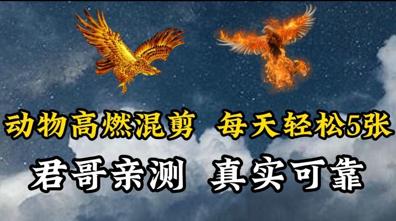 动物超燃混剪，每天轻松5张，剪辑简单大家爱看【揭秘】-E网资源