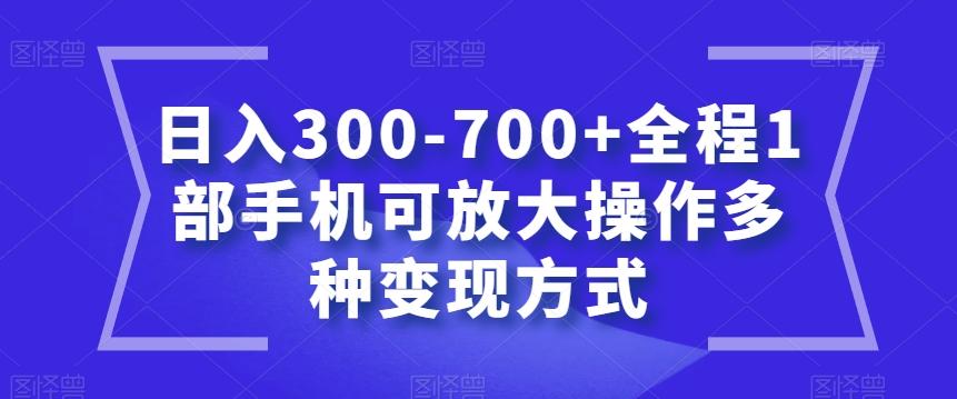 日入300-700+全程1部手机可放大操作多种变现方式【揭秘】-E网资源