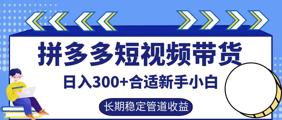 拼多多短视频带货日入300+，实操账户展示看就能学会-E网资源