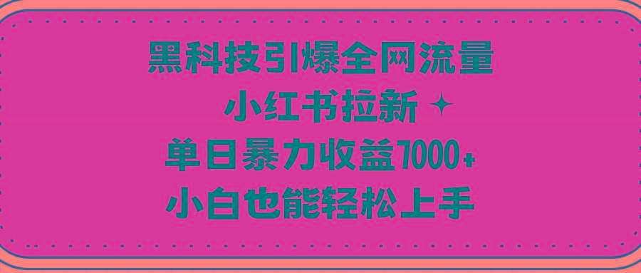 (9679期)黑科技引爆全网流量小红书拉新，单日暴力收益7000+，小白也能轻松上手-E网资源