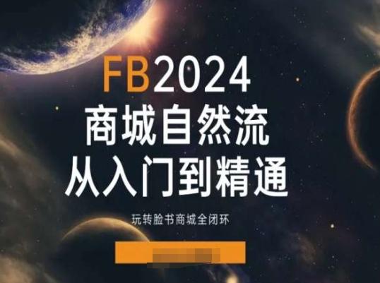 2024Faceboo商城自然流(从入门到精通)，玩转脸书商城全闭环-E网资源