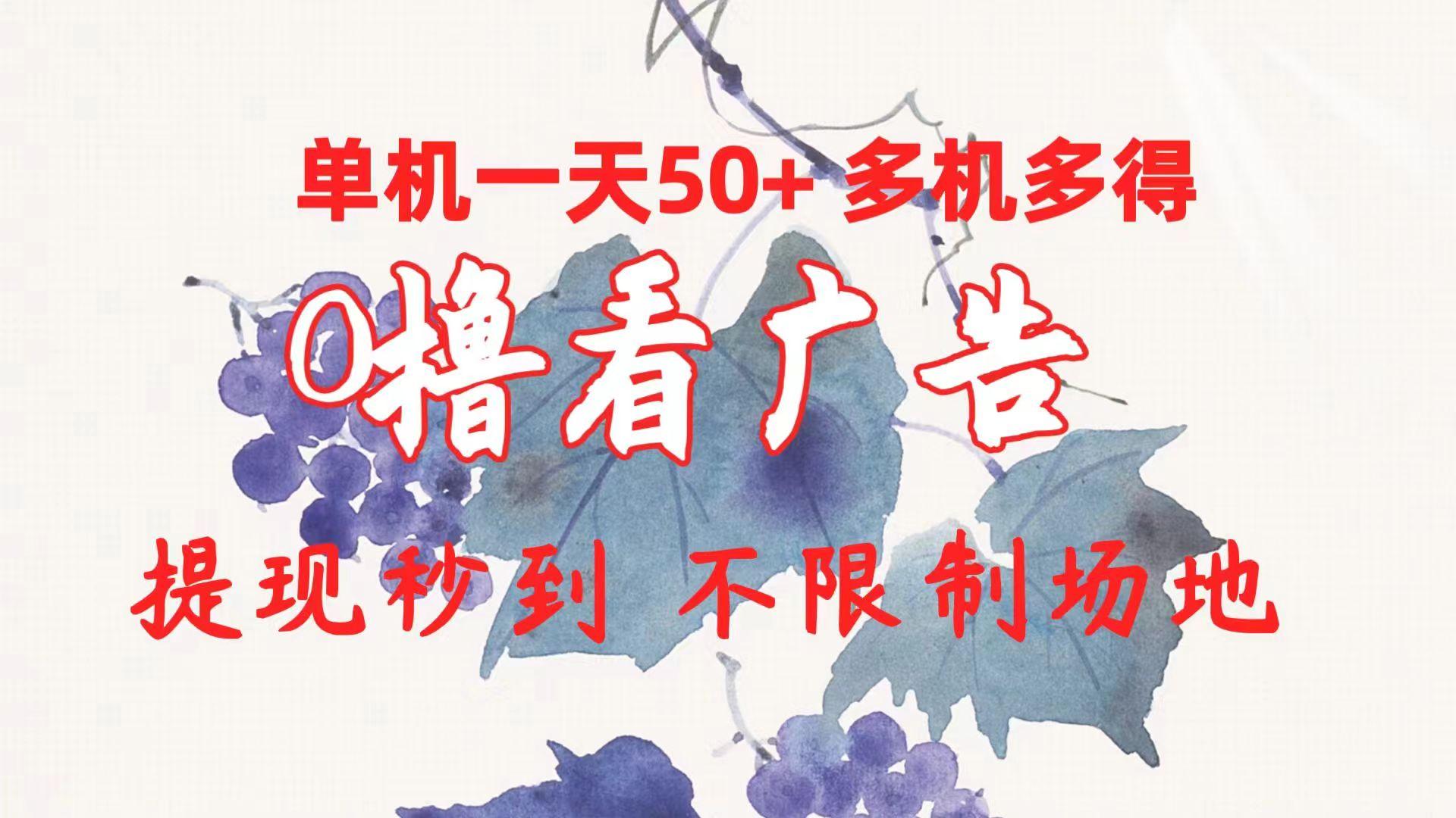 0撸看广告 单机一天50+多机多得 提现秒到 不限制场地操作-E网资源