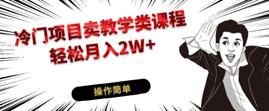冷门项目卖教学类课程，轻松月入2W+-E网资源