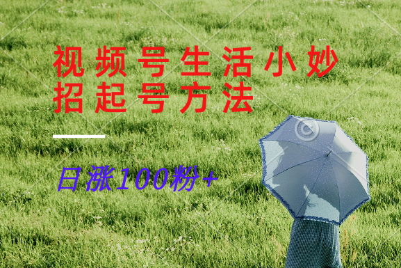 视频号生活小妙招分享赛道， 起号涨粉新方法，日涨100粉-E网资源