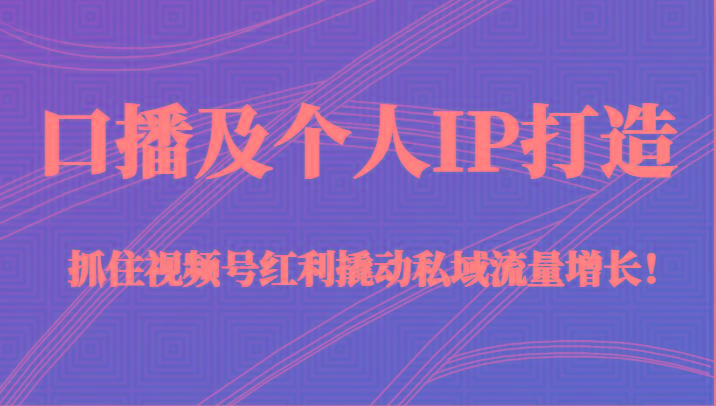 口播及个人IP打造，抓住视频号红利撬动私域流量增长！（45节课）-E网资源