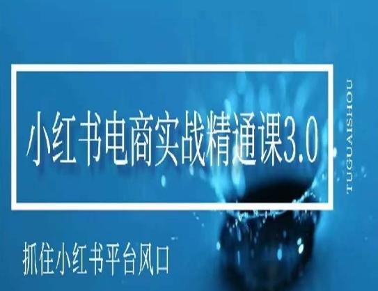 小红书电商实战精通课3.0，抓住小红书平台的风口，不错过有一个赚钱的机会-E网资源