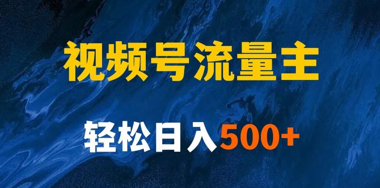 揭秘视频号创作者分成计划，带你玩赚视频号流量主！新手也能月入1w+-E网资源