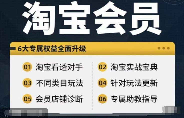 淘宝会员【淘宝所有课程，全面分析对手】，初级到高手全系实战宝典-E网资源