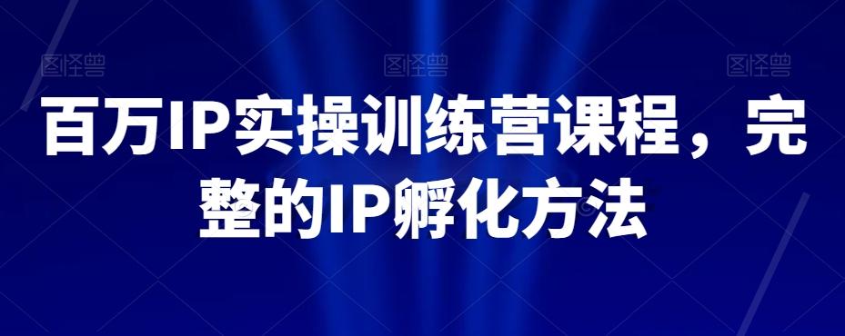百万IP实操训练营课程，完整的IP孵化方法-E网资源