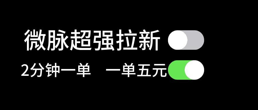微脉超强拉新， 两分钟1单， 一单利润5块，适合小白-E网资源