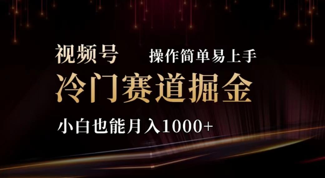 2024视频号冷门赛道掘金，操作简单轻松上手，小白也能月入1000+-E网资源