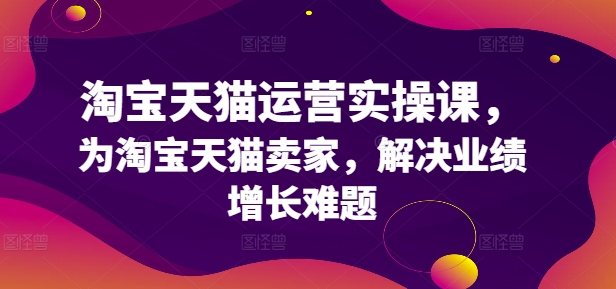 淘宝天猫运营实操课，为淘宝天猫卖家，解决业绩增长难题-E网资源