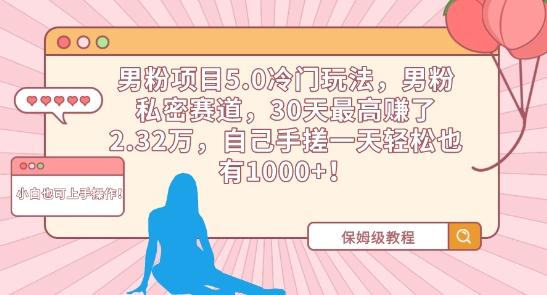 男粉项目5.0冷门玩法，男粉私密赛道，30天最高赚了2.32万，自己手搓一天轻松也有1000+【揭秘】-E网资源