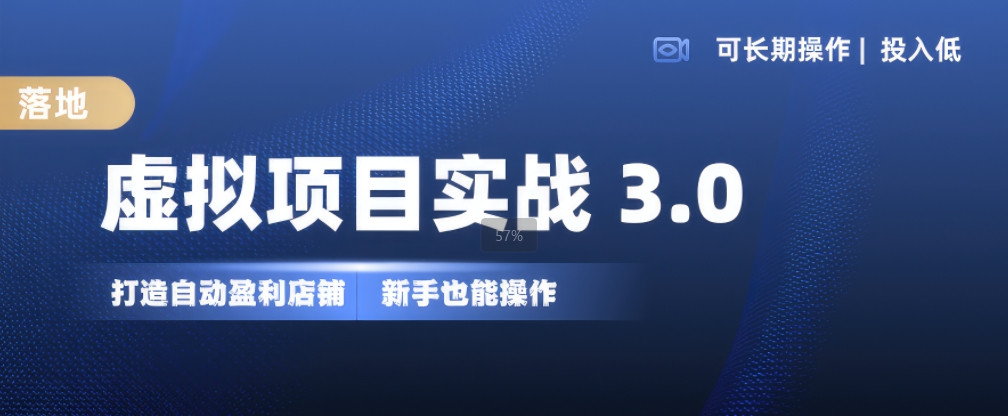 虚拟项目实战3.0，打造自动盈利店铺，可长期操作投入低，新手也能操作-E网资源