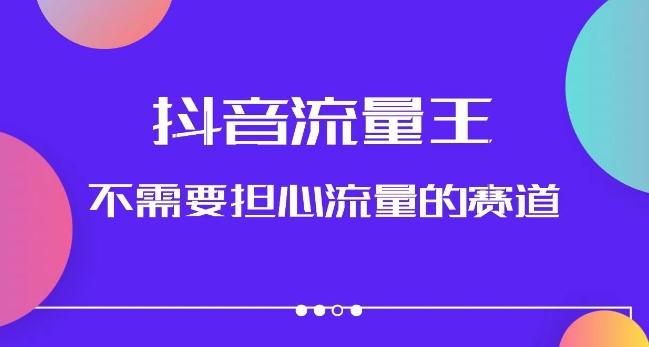 抖音流量王，不需要担心流量的赛道，美女图文音乐号升级玩法（附实操+养号流程）-E网资源