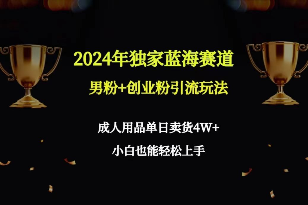 2024年独家蓝海赛道男粉+创业粉引流玩法，成人用品单日卖货4W+保姆教程-E网资源