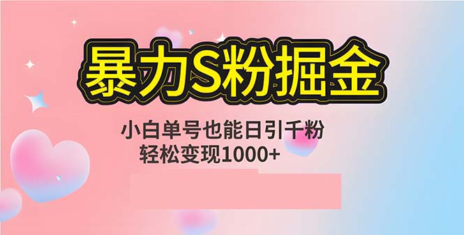 单人单机日引千粉，变现1000+，S粉流量掘金计划攻略-E网资源