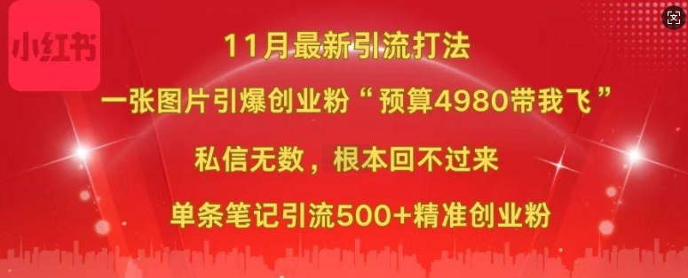 小红书11月最新图片打粉，一张图片引爆创业粉，“预算4980带我飞”，单条引流500+精准创业粉-E网资源