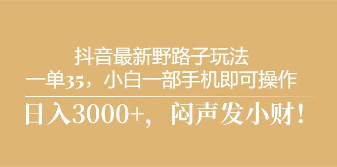 抖音最新野路子玩法，一单35，小白一部手机即可操作，，日入3000+，闷…-E网资源