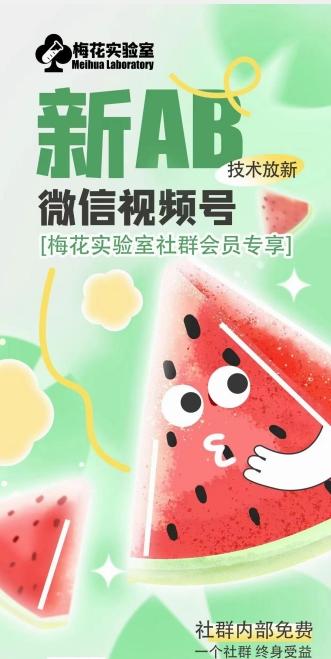 梅花实验室2024年AB技术视频号AB合成破解版-E网资源