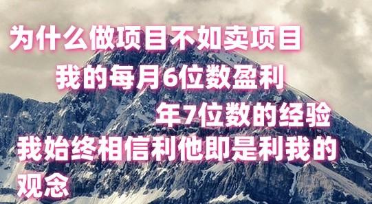 做项目不如卖项目，每月6位数盈利，年7位数经验-E网资源