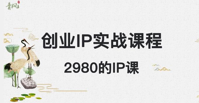 外边卖2980的创业IP课程，做私域月入5w+-E网资源