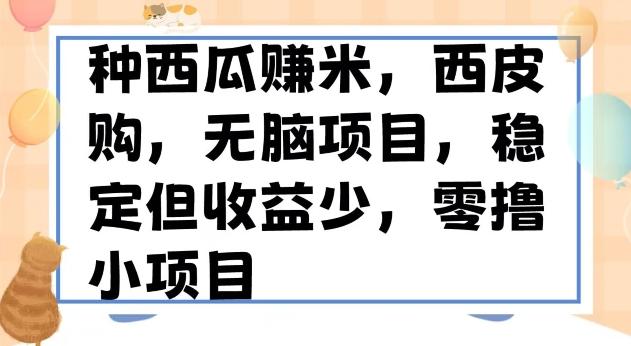种西瓜赚米，西皮购稳定长久零撸小项目-E网资源