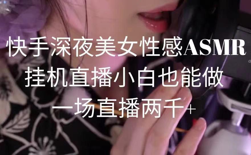 快手深夜美女性感ASMR挂机直播，小白也能做，一场直播两千+-E网资源