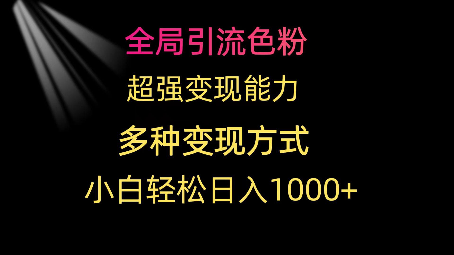 (9680期)全局引流色粉 超强变现能力 多种变现方式 小白轻松日入1000+-E网资源
