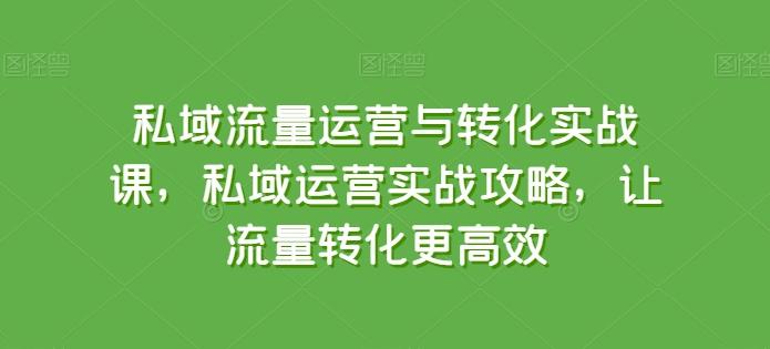 私域流量运营与转化实战课，私域运营实战攻略，让流量转化更高效-E网资源