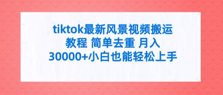 tiktok最新风景视频搬运教程 简单去重 月入3W+小白也能轻松上手【揭秘】-E网资源