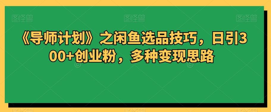 《导师计划》之闲鱼选品技巧，日引300+创业粉，多种变现思路-E网资源