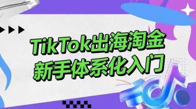 TikTok出海淘金，新手体系化入门，零基础快速入门，掌握短视频、直播带货等引流到变现的知识-E网资源