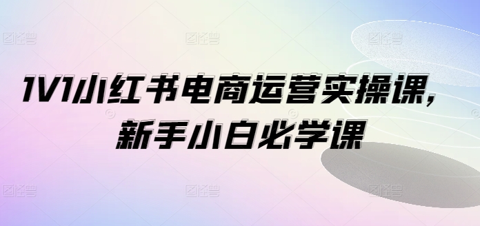 1V1小红书电商运营实操课，新手小白必学课-E网资源