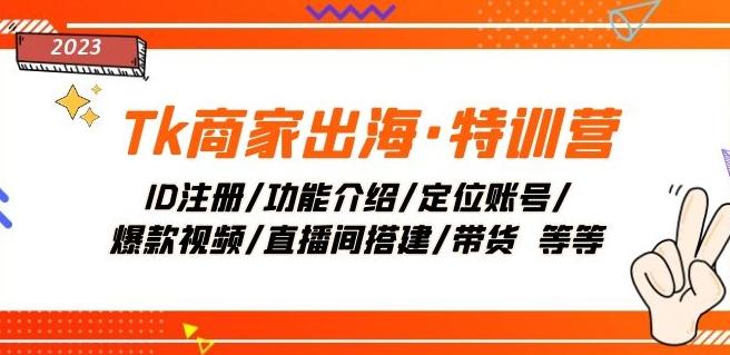 Tk商家出海·特训营:ID注册/功能介绍/定位账号/爆款视频/直播间搭建/带货