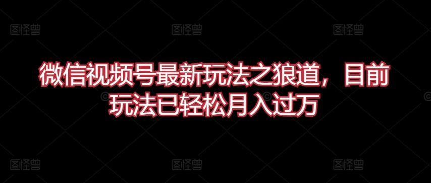 微信视频号最新玩法之狼道，目前玩法已轻松月入过万【揭秘】-E网资源